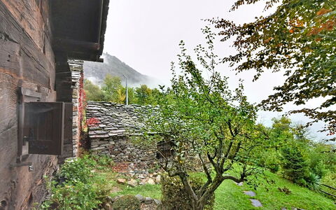 Chalet degli Gnomi: Árbol, Nieve, Invierno, Bosque, Congelación, Alerce, Hojas Perennes, Bosque