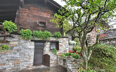 Chalet degli Gnomi: Árbol, Nieve, Invierno, Bosque, Congelación, Alerce, Hojas Perennes, Bosque