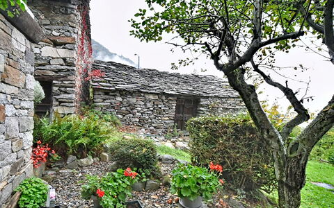 Chalet degli Gnomi: Árbol, Nieve, Invierno, Bosque, Congelación, Alerce, Hojas Perennes, Bosque