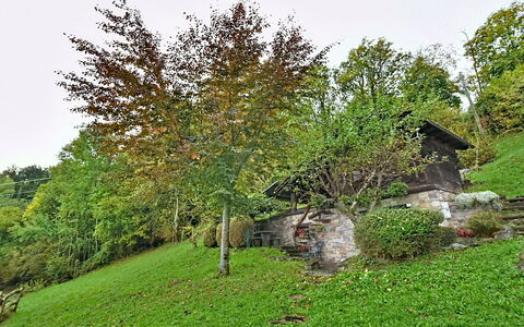 Chalet degli Gnomi: Árbol, Nieve, Invierno, Bosque, Congelación, Alerce, Hojas Perennes, Bosque