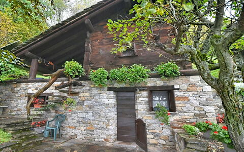 Chalet degli Gnomi: Árbol, Nieve, Invierno, Bosque, Congelación, Alerce, Hojas Perennes, Bosque