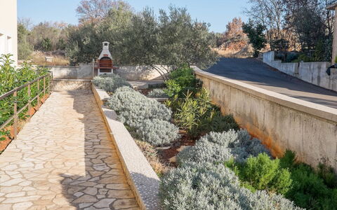 Ivana: Arbusto, Jardín, Cobertura Del Suelo, Paisajismo, Pasarela, Losa, Patio Interior, Yarda