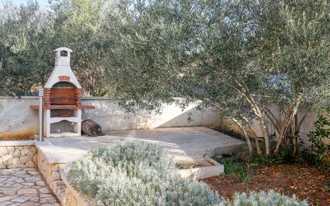 Ivana: Arbusto, Jardín, Plantas Leñosas, Paisajismo, Patio Interior, Yarda, Entrada De Coches, Losa, Pasarela
