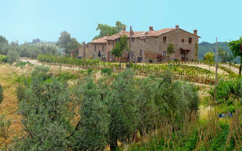 Montaione 955: Planta, Cielo, Planta De La Comunidad, Edificio, Paisaje Natural, Árbol, Vegetación, El Terreno Del Lote, Ventana, Hierba