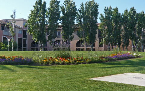 Canet-Plage 200: Hierba, Árbol, Arbusto, Espacio Publico, Barrio Residencial, Jardín, Cobertura Del Suelo, Césped, Sombra