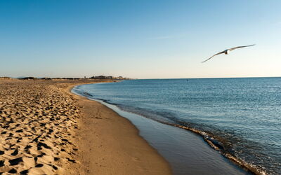 Canet-Plage 200