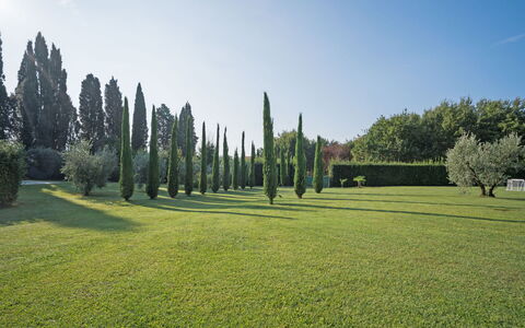 Villa Fontine: Árbol, Verde, Hierba, Paisaje Natural, El Terreno Del Lote, Complejo Deportivo, Pradera, Cielo, Biome, Jardín
