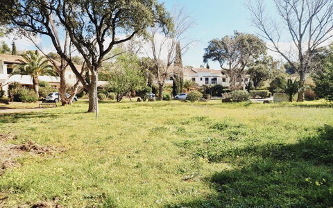 Cavalaire 90: Cielo, Planta, Planta De La Comunidad, Paisaje Natural, Árbol, Rama, El Terreno Del Lote, Casa, Paisaje, Llanura