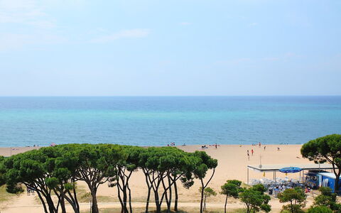 Paisos Catalans: Mar, Playa, Árbol, Cielo, Costa, Apuntalar, Horizonte, Oceano, Vacaciones, Turismo