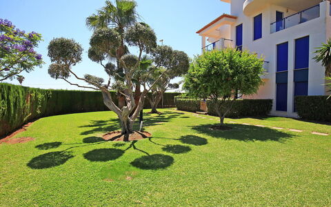 Alma del Sol: Propiedad, Hierba, Verde, Árbol, Césped, Vegetación, Bienes Raíces, Casa, Botánica, Inmuebles