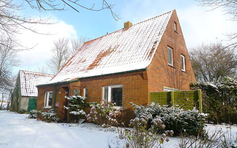 Natur Pur am Nordseedeich: Planta, Cielo, Edificio, Nieve, Nube, Ventana, Casa, Árbol, Paisaje Natural, Ramita