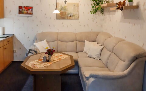 Schneider: Mueble, Sofá, Planta, Marco, Mesa, Maceta, Encendiendo, Diseño De Interiores, Sala, Planta De Casa