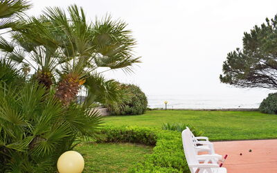 Giardini Naxos 250: Árbol, Palmera, Propiedad, Hierba, Vacaciones, Arecales, Bienes Raíces, Planta, Verano, Césped