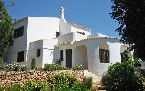 Doroteia: Planta, Cielo, Edificio, Propiedad, Ventana, Árbol, Casa, El Terreno Del Lote, Sombra
