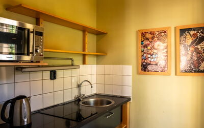 Marianske Lazne 20