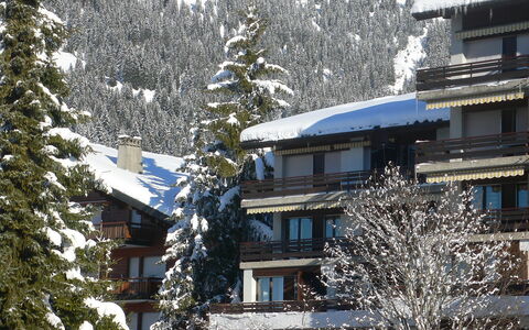 Villars 130: Nieve, Invierno, Propiedad, Árbol, Congelación, Casa, Casa, Techo, Rama, Familia De Pino