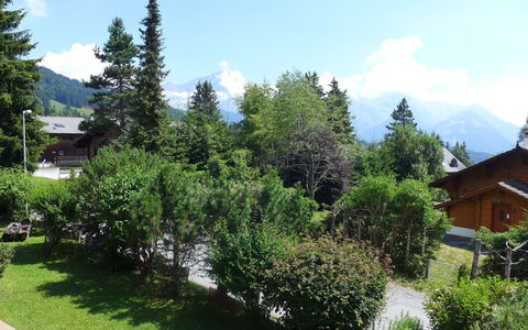 Villars 995: Árbol, Propiedad, Vegetación, Biome, Casa, Desierto, Casa, Bienes Raíces, Plantas Leñosas, Planta