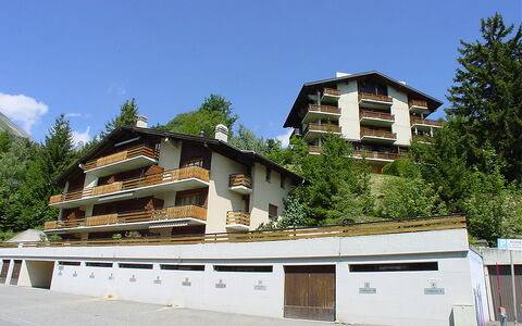 Ovronnaz 240: Barrio Residencial, Casa, Casa, Suburbio, Pueblo De Montaña, Balcón, Villa, Alerce, Hojas Perennes