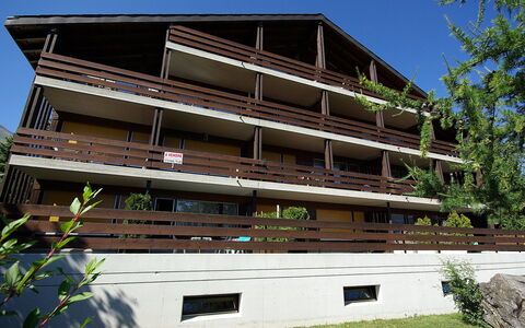 Zodiaque Rs 4: Planta, Cielo, Edificio, Ventana, Madera, El Terreno Del Lote, Arquitectura, Diseño Urbano, Árbol, Sombra