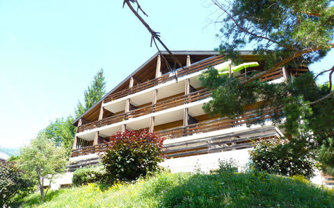 Centaure a Rs 3: Planta, Cielo, Edificio, Árbol, Madera, Cabaña, Diseño Urbano, Eco Hotel, Hierba, Fachada