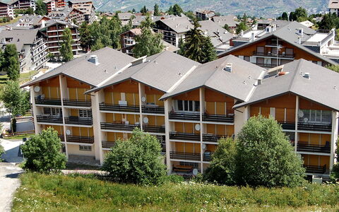 Nendaz 250: Planta, Edificio, Tiempo De Día, Ventana, Árbol, Botánica, Vegetación, Diseño Urbano, El Terreno Del Lote, Arquitectura
