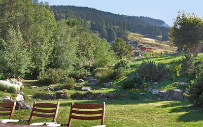 Les Clèves