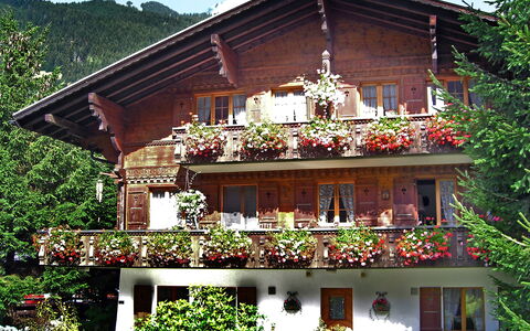 Grindelwald 121: Edificio, Ventana, Planta, Propiedad, Cielo, Árbol, Casa, Cabaña, Barrio Residencial