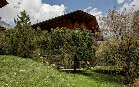 Grindelwald 106: Casa, Arbusto, Casa, Cabaña, Pendiente, Jardín, Casa De Campo, Paisajismo, Alerce, Yarda