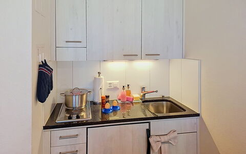 Grindelwald 150: Cocina, Aparato De Cocina, Mostrador, Fregadero, Electrodoméstico, Gabinetes, Lavabo, Arreglo De Tubería, Grifo, Diseño De Interiores