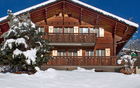 Chalet Doris: Edificio, Nieve, Ventana, Planta, Cielo, Madera, Árbol, Pendiente, Casa, Cabaña