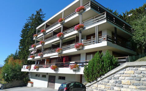 Yuca B Apt. 28: Cielo, Edificio, Planta, Coche, Propiedad, Rueda, Ventana, Árbol, Vehículo
