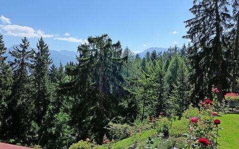 Crans-Montana 353: Naturaleza, Vegetación, Desierto, Accidentes Geográficos Montañosas, Árbol, Paisaje Natural, Entorno Natural, Montaña, Reserva Natural, Biome