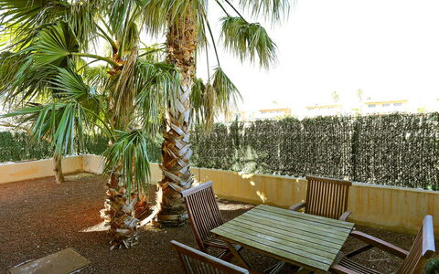 Peiro: Propiedad, Árbol, Palmera, Arecales, Planta, Bienes Raíces, Mueble, Plantas Leñosas, Habitación, Casa
