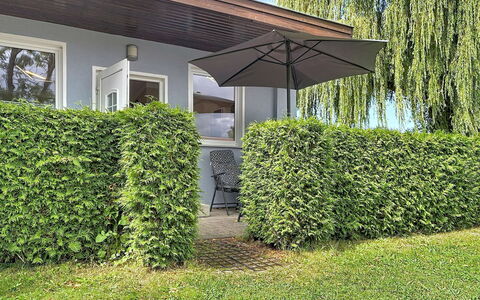 Goetheallee: Arbusto, Cobertura, Cobertura Del Suelo, Jardín, Sombra, Hojas Perennes, Paisajismo, Patio Interior, Plantación