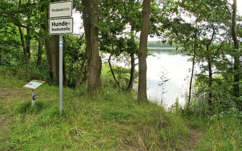 Goetheallee: Cielo, Propiedad, Planta, Árbol, Edificio, El Terreno Del Lote, Pendiente, Sombra, Asfalto, Madera