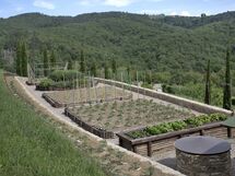 La Maccinaia 14