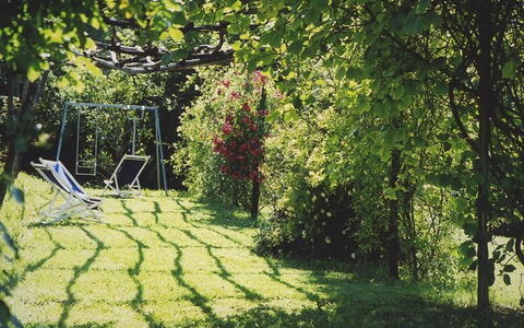 La Cenerara: Verde, Naturaleza, Árbol, Hierba, Jardín, Césped, Luz De Sol, Hoja, Botánica, Primavera