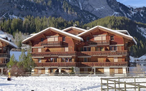 Studio Schweizerhof: Montaña, Nieve, Edificio, Cielo, Planta, Naturaleza, Casa, Ventana, Árbol, Madera
