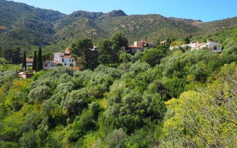 La Rectoria Ii: Cielo, Montaña, Planta, Planta De La Comunidad, Paisaje Natural, Árbol, El Terreno Del Lote, Tierras Altas, Paisaje, Cobertura Del Suelo
