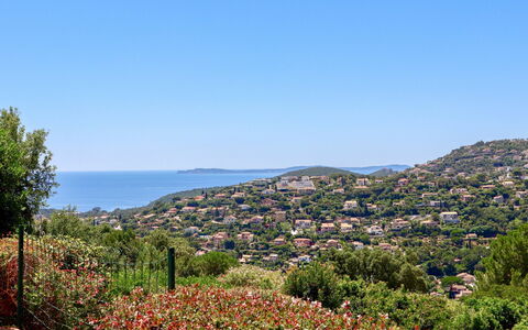 Le Cap: Flor, Cielo, Planta, Paisaje Natural, Árbol, Vegetación, Montaña, Agua, Paisaje, Horizonte