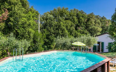 Podere Gli Olivi - Rosignano Marittimo, Toscana, Italia