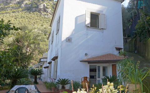 Azienda Agricola Barone