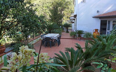 Azienda Agricola Barone