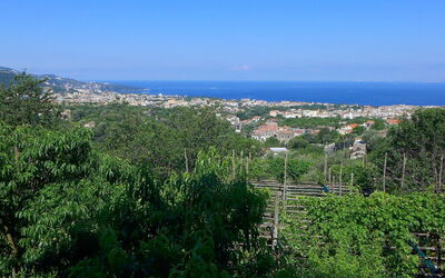 Azienda Agricola Barone