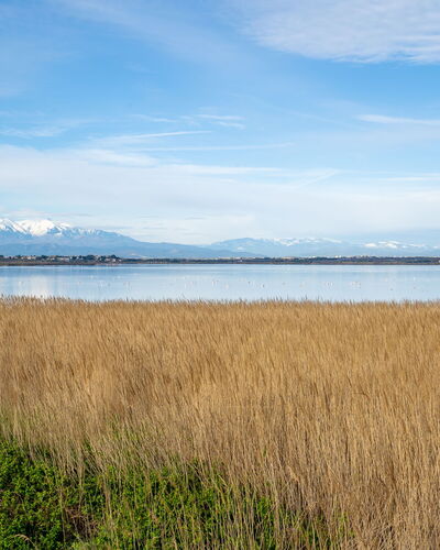 Canet-Plage 310
