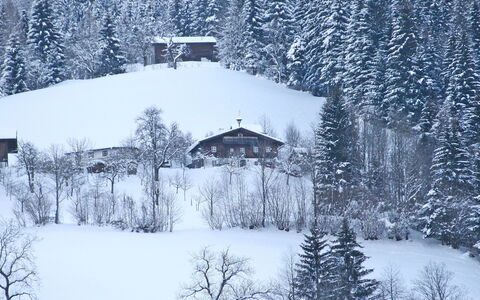 Oberhaslach: Nieve, Invierno, Árbol, Congelación, Fenómeno Atmosférico, Escarcha, Hill Station, Casa, Fenómeno Geológico