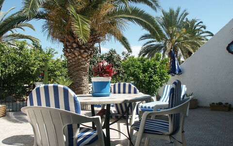 Etxe Zuri: Propiedad, Palmera, Árbol, Vacaciones, Arecales, Bienes Raíces, Mesa, Edificio, Plantas Leñosas, Casa