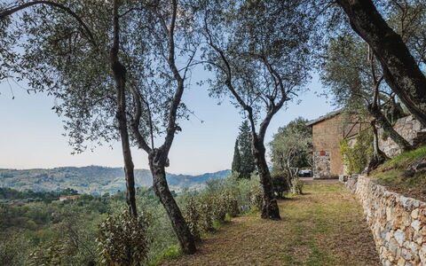 La Capannella: Cielo, Mesa, Mueble, Tiempo De Día, Propiedad, Planta, Montaña, Azur, Silla, Naturaleza