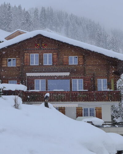 Chalet Seeberg