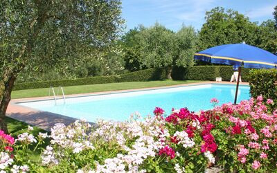 Rielli: Piscina, Propiedad, Flor, Jardín, Planta, Botánica, Árbol, Primavera, Ocio, Bienes Raíces